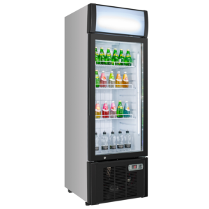 Refrigerated Beverage Display Case - 300L Dynasteel: showcase your drinks in style