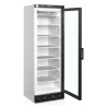 Vitrine vriezer statisch glazen deur - Wit - 270 L | TEFCOLD UFSC371G