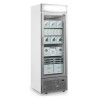 Vitrine Vriezer Glazen Deur met Canopy Zilver - 440L TEFCOLD: optimale presentatie van uw diepvriesproducten