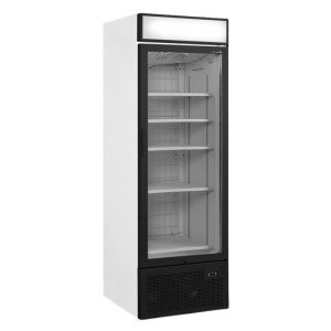 Glass door freezer display with canopy - 440L TEFCOLD: optimal presentation of your frozen products