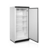 White Positive Refrigerated Cabinet - 420L TEFCOLD: Optimal food preservation in an elegant space