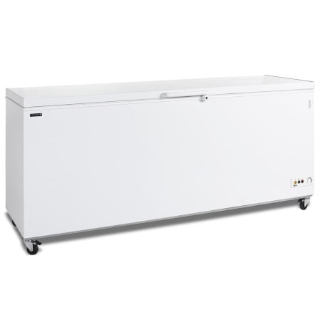 Vrieskist - Wit - 600 L | TEFCOLD CF700 SL