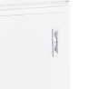 Chest Freezer - White - 600 L | TEFCOLD CF700 SL