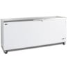 Freezer Chest Ice Stainless Steel 600L - TEFCOLD CF700S SL