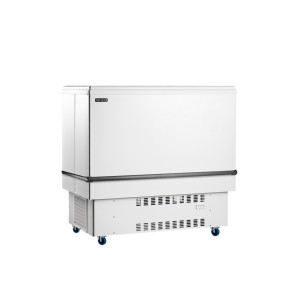 TEFCOLD White Beverage Chest Refrigerator - 226 L: Optimized Storage & Energy Saving