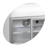 Mini Koelkast TEFCOLD 60L met Canopy en 2 Glazen Deuren