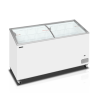 Vrieskist 481L TEFCOLD - Optimale bewaring van ijsjes