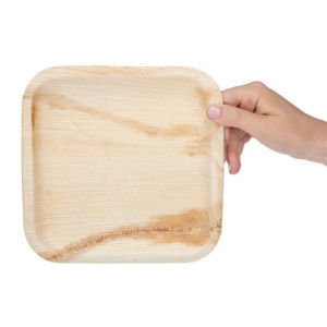 Quadratische Teller aus Palmblättern 200mm - Packung mit 100 | Umweltfreundliches und praktisches Geschirr
