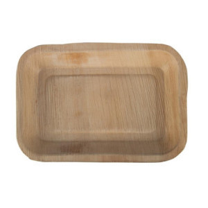Rectangular Palm Leaf Plates 250x160 mm: Ecological and Aesthetic