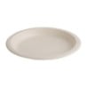 Ovale composteerbare borden van bagasse 316mm - Set van 50, Snelle levering, Hoge kwaliteit