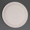 Assiettes Ovales Compostables en Bagasse 316mm - Lot de 50, Livraison Rapide, Haute Qualité