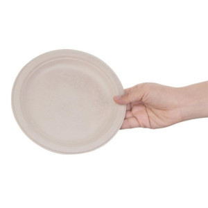 Ronde composteerbare borden van natuurlijke bagasse - Set van 50, 260mm