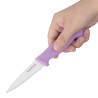 Küchenmesser Violett 90 mm Hygiplas: Präzision und Komfort in der Küche
