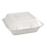 Composteerbare bagasse dozen 223mm - Set van 200, milieuvriendelijk