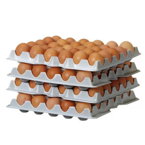 HENDI OVOBOX 120 egg trays for professional storage