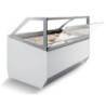 Millennium Ice Cream Display Case - Combisteel Refrigerated 16 bins - LED