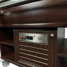 CombiSteel Hot Buffet - Stainless Steel GN 1/1 & LED Lighting