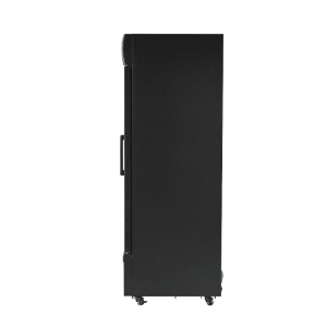 Vitrine voor Dranken 736 L 2 Glazen Deuren 2-8 °C R290
