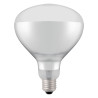 Bulb for infrared heat lamp - Brand HENDI - Fourniresto