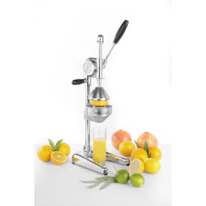 Hendel Citruspers - HENDI