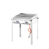 Professioneller Gasgrill Green Fire mit 2 Brennern - Marke HENDI