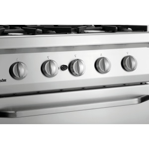 Vierpitsfornuis met gasoven GN 2/1 Serie 700