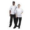 Witte korte mouwen koksvest Boston - Maat XXL - Whites Chefs Clothing - Fourniresto