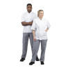 Koksbuis Mixte Vegas met Kleine Blauw en Wit Geruite Broek - Maat L - Whites Chefs Clothing - Fourniresto