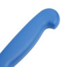 Messer mit blauer Filetierklinge 15 cm - Hygiplas - Fourniresto