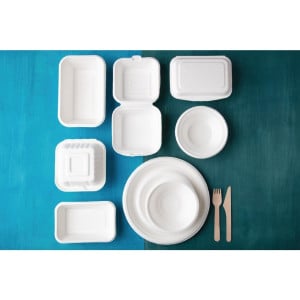 Bordjes van composteerbare bagasse 26 cm - Pak van 50 - Fiesta Green - Fourniresto