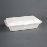 Hinged Bagasse Compostable Trays - L 248mm - Pack of 250 - Fiesta Green