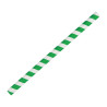 Rietjes voor smoothies van papier - Groen - L 210mm - Set van 250 - Fiesta Green