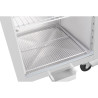 Positieve Koelkastkast GN 1/2 Serie G - 428 L - Polar