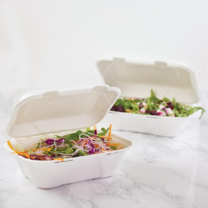 Maaltijdboxen van bagasse met scharnierend deksel - L 228mm - Set van 200 - Vegware