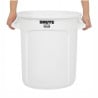 Brute Collector Wit - 37,9L - Rubbermaid
