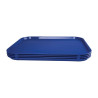 Plateau Self-Service Blauw 450 X 350mm - Olympia KRISTALLON - Fourniresto