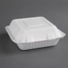 Composteerbare bagasse dozen 223mm - Set van 200, milieuvriendelijk