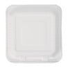 Composteerbare bagasse dozen 223mm - Set van 200, milieuvriendelijk