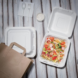 Boîtes compostables Bagasse 223mm - Lot de 200, écoresponsables