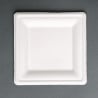 Teller aus kompostierbarem Bagasse in quadratischer Form 159mm - Packung mit 50