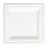 Compostable square bagasse plates 159mm - Pack of 50