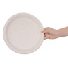 Ronde composteerbare borden van natuurlijke bagasse - Set van 50, 260mm