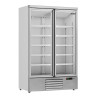 Armoire Réfrigérée Positive Inox 2 Portes Vitrées 1000 L CombiSteel