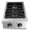 Professionele oven 700 - 2 branders - CombiSteel