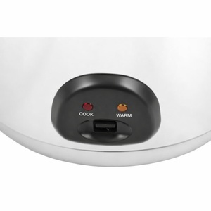 Grote Rijstkoker - 9 L - Dynasteel