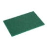 Groene Schuurspons - 110 x 151 mm - Set van 10 - Jantex