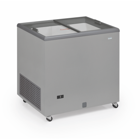Congélateur Portes Coulissantes Vitrées - 220  L