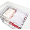 Chest Freezer with Stainless Steel Lid - 378 L