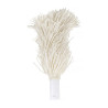 Polisseur à Verres - 4 Brosses - HENDI