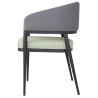 Meridian Sessel in Grau / Pistazie - Set von 2